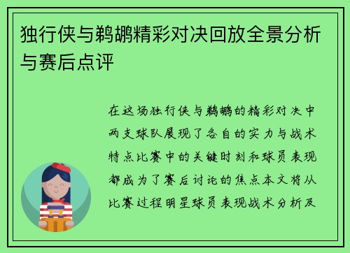 独行侠与鹈鹕精彩对决回放全景分析与赛后点评