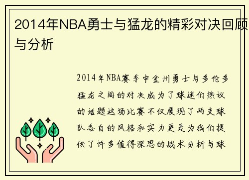 2014年NBA勇士与猛龙的精彩对决回顾与分析