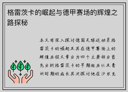 格雷茨卡的崛起与德甲赛场的辉煌之路探秘