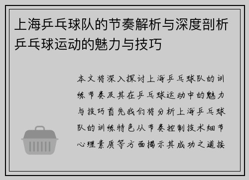 上海乒乓球队的节奏解析与深度剖析乒乓球运动的魅力与技巧